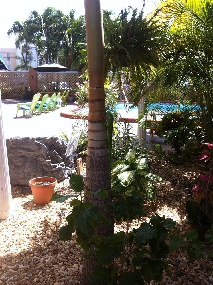 The Bridge At Cordova Boutique Hotel And Hostel Fort Lauderdale Ngoại thất bức ảnh